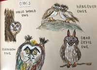 Owls